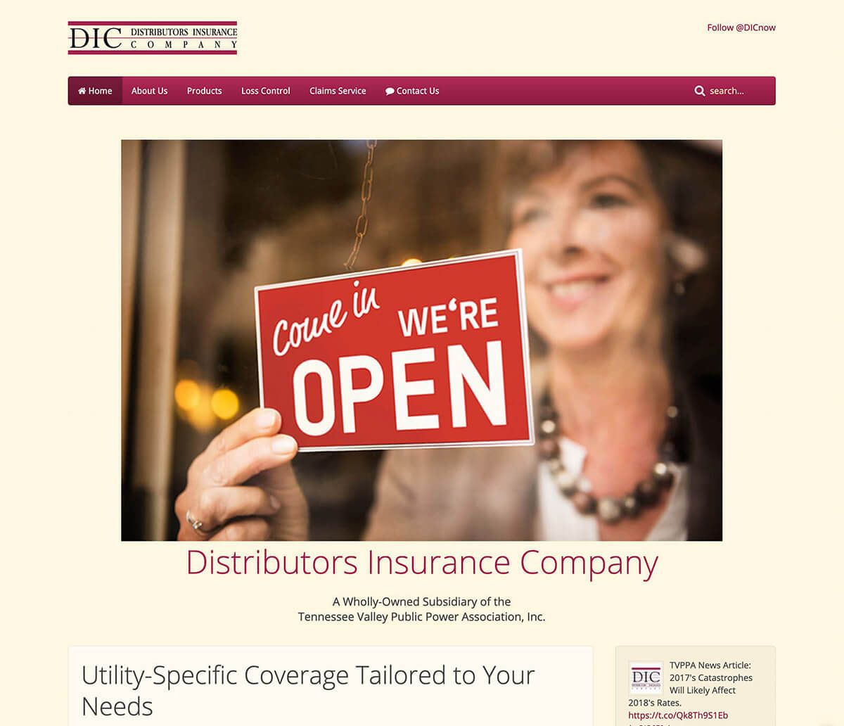 Distributors Insurance Company website by EyeSite Creations