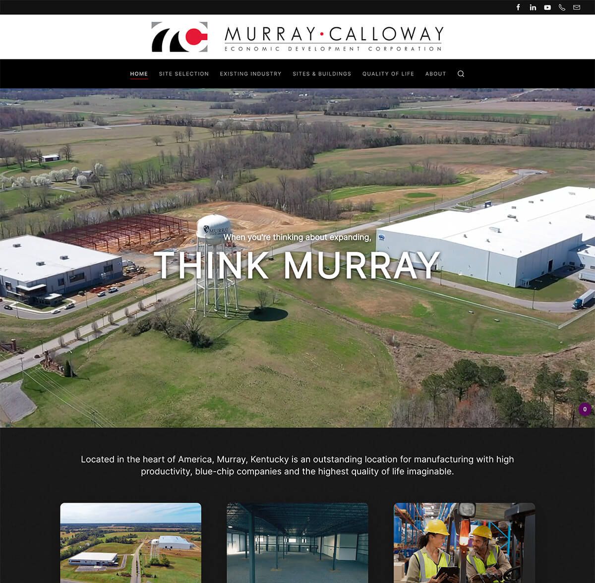 Murray Calloway Economic Development Corporation web design